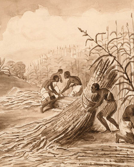 7e Rencontres Atlantiques