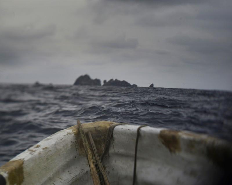 The wisdom of the Lianas: The Open Boat