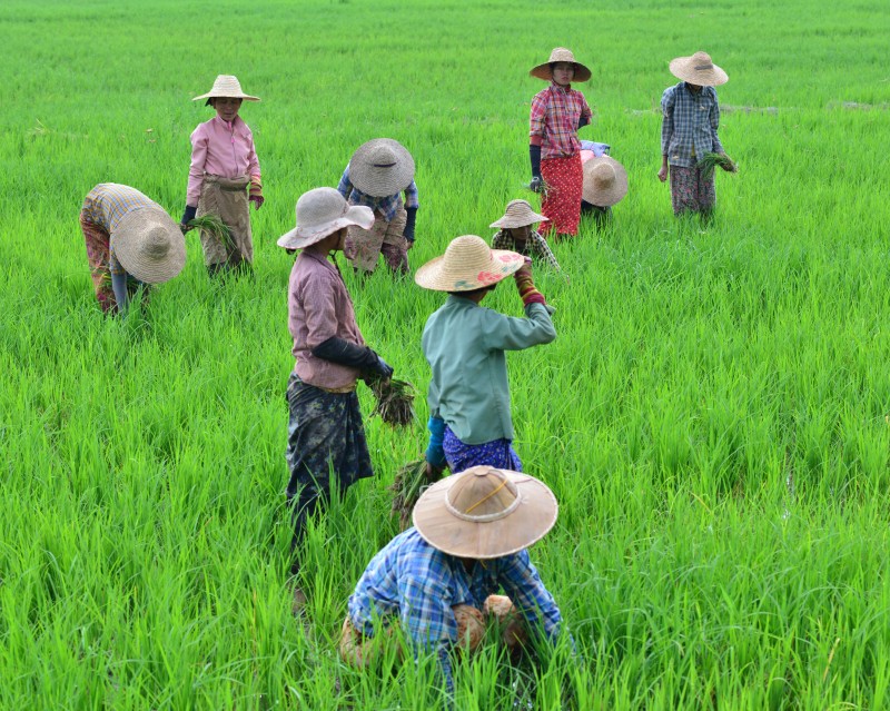 MYANMAR_NG_LOCALZO_69